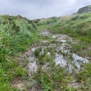 IMG 5191