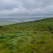 IMG 5431