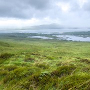 IMG 5435