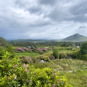 IMG 5545