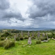 IMG 5596