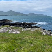 IMG 5733