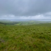 IMG 5822