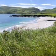 IMG 5945
