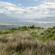 IMG 6065