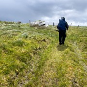 IMG 6076
