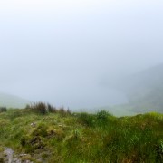 IMG 6293