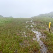 IMG 6298