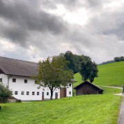 IMG 6736