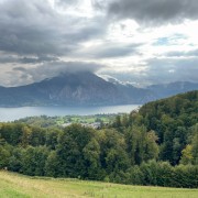 IMG 6744