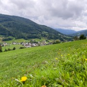 IMG 6751
