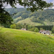 IMG 6764