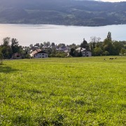 IMG 6924