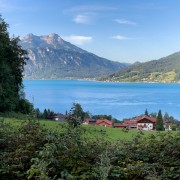 IMG 6961