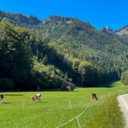 IMG 6999