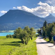 IMG 7017