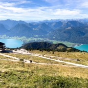 IMG 7054