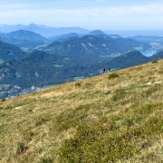 IMG 7071