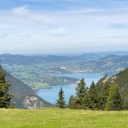 IMG 7088