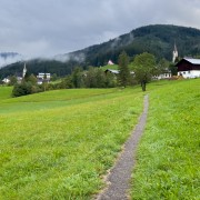 IMG 7112