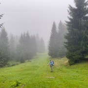 IMG 7171