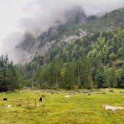 IMG 7207