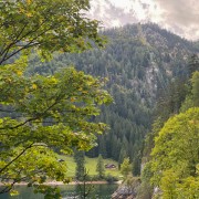 IMG 7247