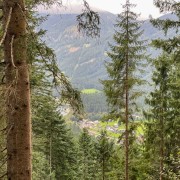 IMG 7254