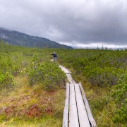 IMG 7286