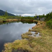 IMG 7290