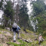 IMG 7297