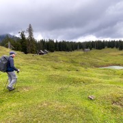 IMG 7311