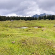 IMG 7312