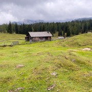 IMG 7314