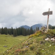 IMG 7318