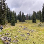 IMG 7327