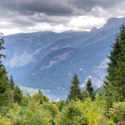 IMG 7364