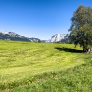 IMG 7468