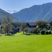 IMG 7470