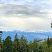IMG 7492