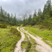IMG 7542