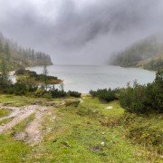 IMG 7549
