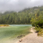 IMG 7551