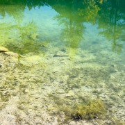IMG 7572