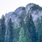 IMG 7590