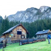 IMG 7595
