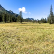IMG 7601