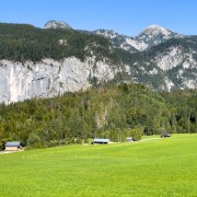 IMG 7630