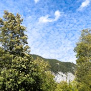 IMG 7658