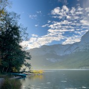 IMG 7676